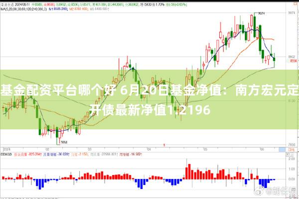 基金配资平台哪个好 6月20日基金净值：南方宏元定开债最新净值1.2196