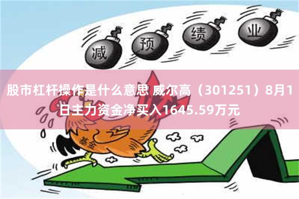 股市杠杆操作是什么意思 威尔高（301251）8月1日主力资金净买入1645.59万元