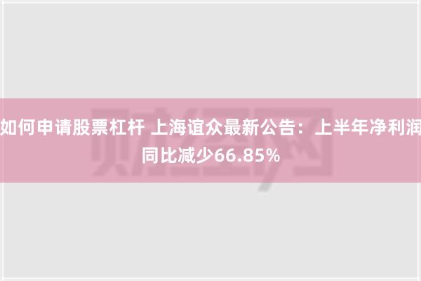 如何申请股票杠杆 上海谊众最新公告：上半年净利润同比减少66.85%