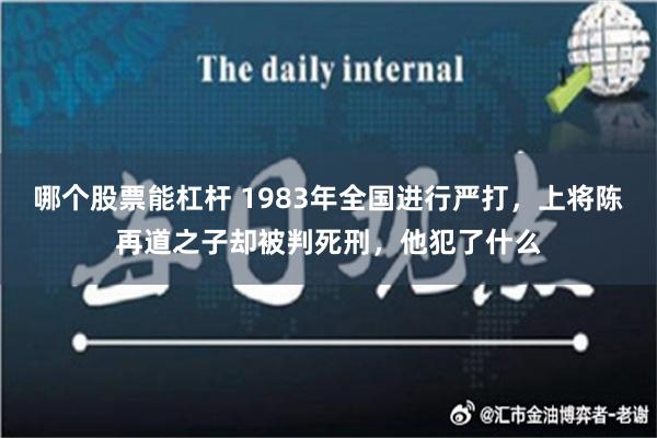 哪个股票能杠杆 1983年全国进行严打，上将陈再道之子却被判死刑，他犯了什么