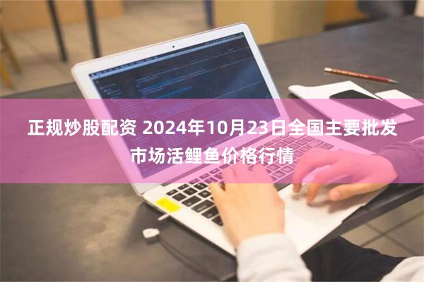 正规炒股配资 2024年10月23日全国主要批发市场活鲤鱼价格行情