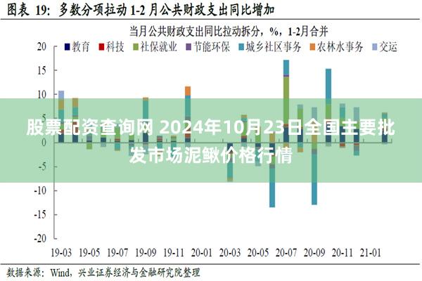 股票配资查询网 2024年10月23日全国主要批发市场泥鳅价格行情