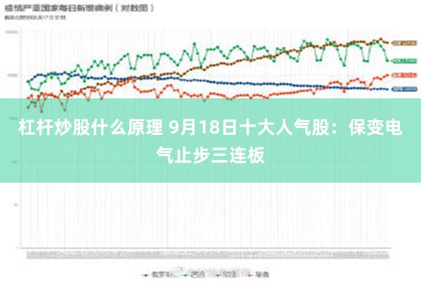 杠杆炒股什么原理 9月18日十大人气股：保变电气止步三连板